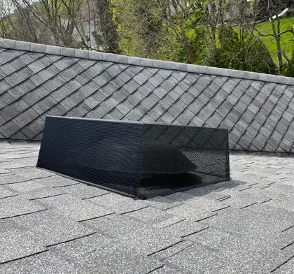 Black mesh guard installed over a roof vent