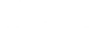 My Critter Pro nuisance wildlife control logo