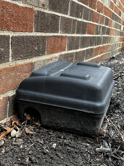 Rodent bait station beside a brick path