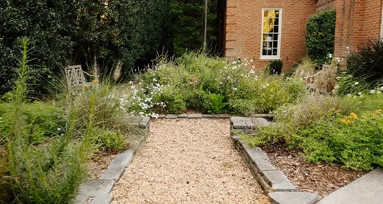 Gravel path between native plantings