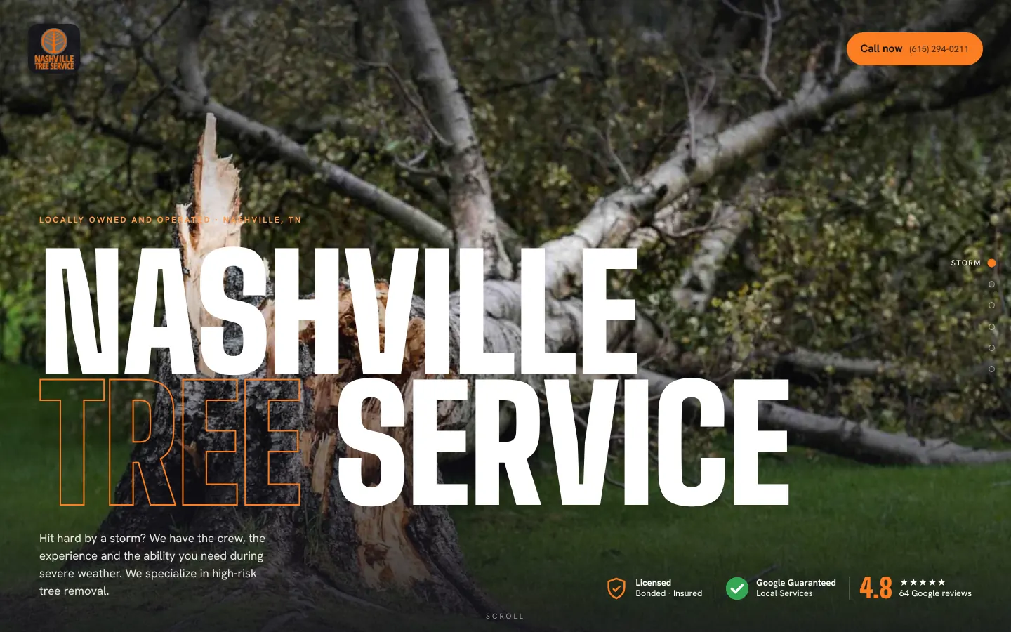Nashville Tree Service concept, desktop view